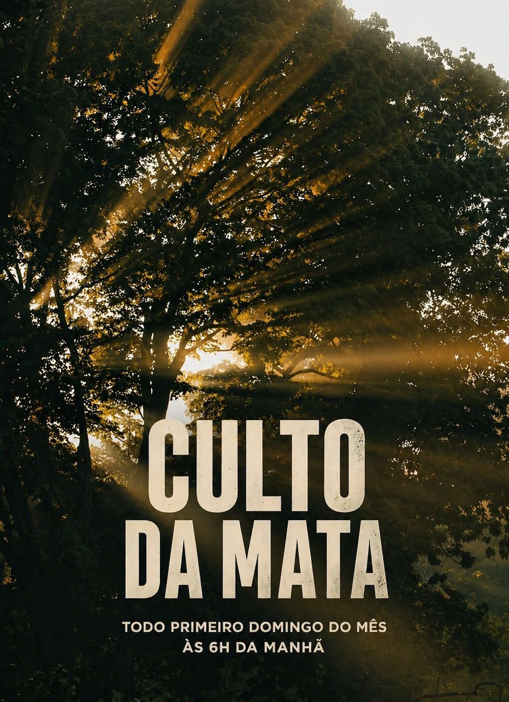 Um belo amanhecer em uma clareira na floresta com raios de sol dourados filtrando-se entre as árvores